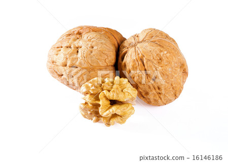 Walnuts and walnut kernel 16146186