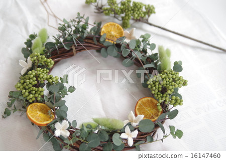 Summer lease (Orange / Eucalyptus) Summer lease (Orange / Eucalyptus) 16147460