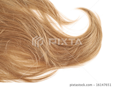 Hair fragment over the white 16147651