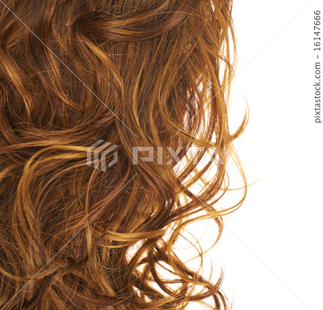Hair fragment over the white 16147666