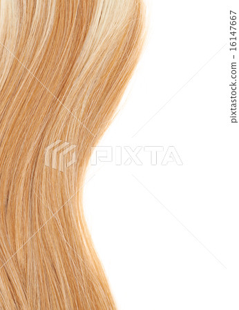 Hair fragment over the white 16147667