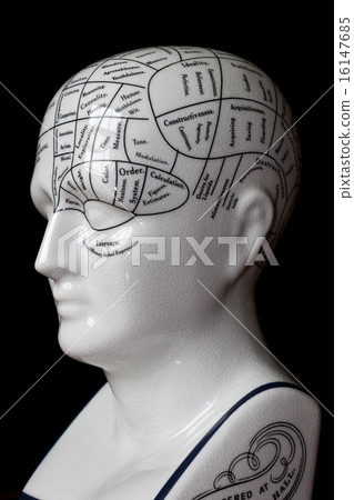 Phrenology head. Phrenology head. 16147685