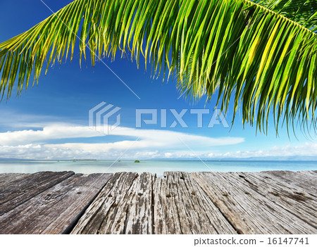 Beautiful beach 16147741