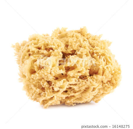 Yellow artistic grouting sponge isolated 16148275