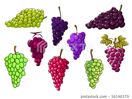 Bunches of green and red grapes 16148379
