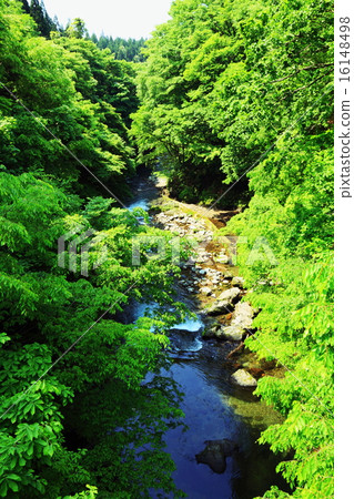 Masase Valley Masase Valley 16148498