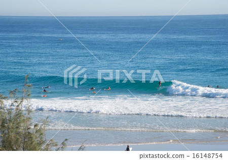 Sea Sea 16148754