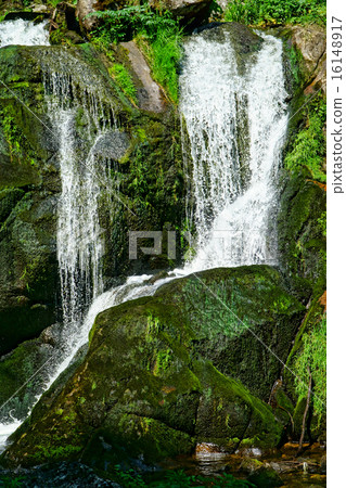 Triberg Waterfalls in the Black Forest, Germany-16 Triberg Waterfalls in the Black Forest, Germany-16 16148917