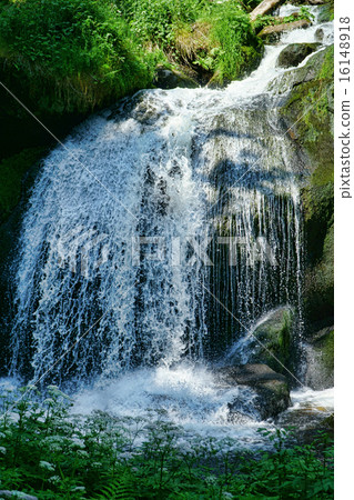 Triberg Waterfalls in the Black Forest, Germany-17 16148918