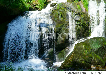 Triberg Waterfalls in the Black Forest, Germany-18 16148920