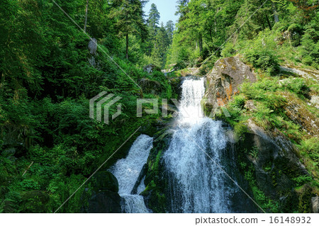 Triberg Waterfalls in the Black Forest, Germany-5 16148932
