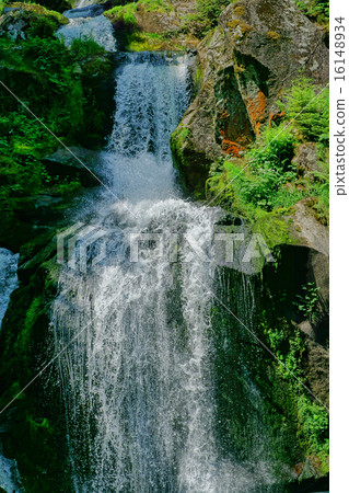 Triberg Waterfalls in the Black Forest, Germany-7 Triberg Waterfalls in the Black Forest, Germany-7 16148934