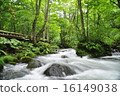 Mountain stream 16149038