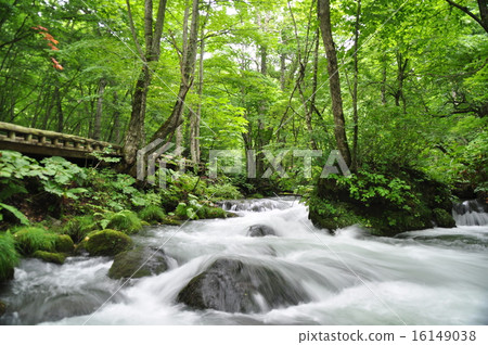 Mountain stream Mountain stream 16149038