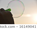 Shabone jade 16149041