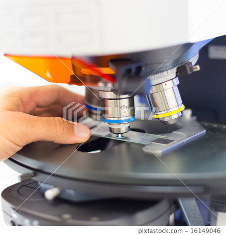Scientist microscoping on fluorescent microscope.  16149046