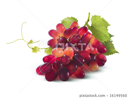 Red grapes bunch with leaf isolated on white Red grapes bunch with leaf isolated on white 16149568