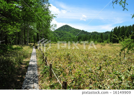 Tochigi ken Oku Nikko Senjohgahara徒步旅行 16149909