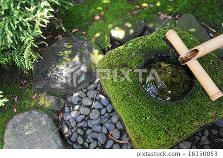 June Japanese garden 33 Hand bowl of tea garden · Takahata Fudobo June Japanese garden 33 Hand bowl of tea garden · Takahata Fudobo 16150053