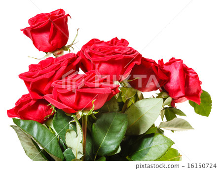 圖庫照片: side view of bunch of red roses isolated