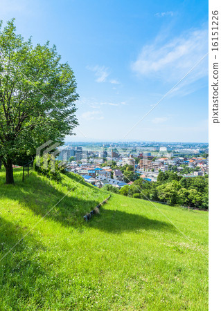 從山上看到的多摩住宅區的風景 16151226