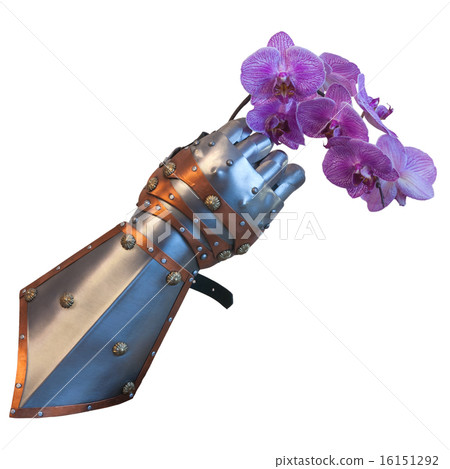 knight glove holds the orchid flower 16151292