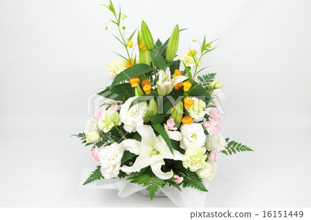 Summer Gift 16151449