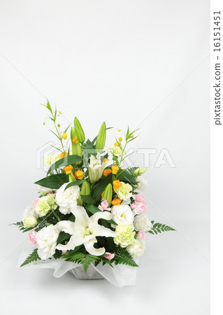 Summer Gift 16151451