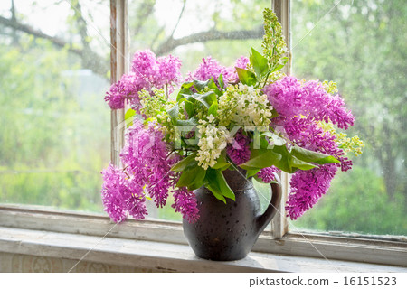 lilac in a brown clay vase on a window sill 16151523