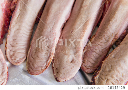 Raw pork tongue Raw pork tongue 16152429