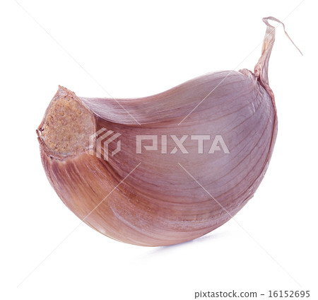 Garlic isolated on white background Garlic isolated on white background 16152695