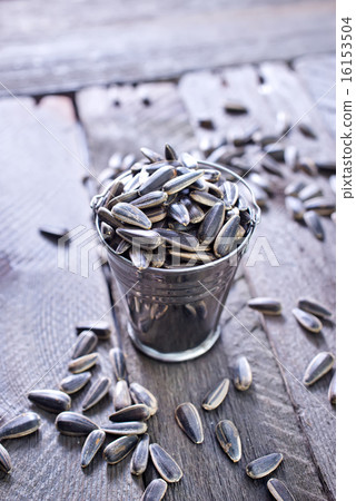 sunflower seed 16153504