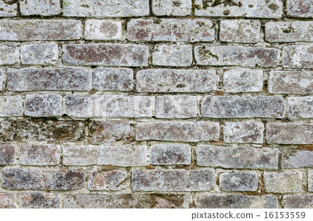 Texture old mossy gray brick wall 16153559