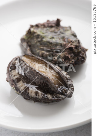 鮑魚 鮑魚 16153769