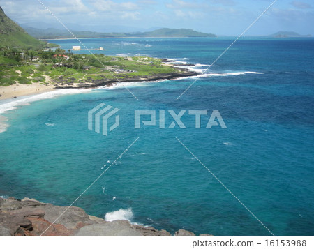 夏威夷海 16153988