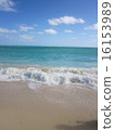 Hawaii Beach 16153989