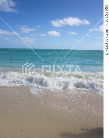 夏威夷海灘 夏威夷海灘 16153989