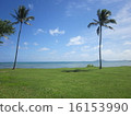 Hawaii Photo 16153990