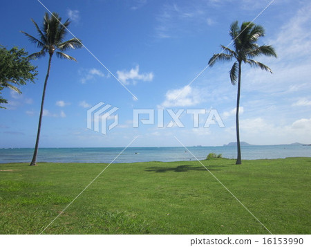 Hawaii Photo Hawaii Photo 16153990