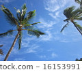 Sky of Hawaii 16153991