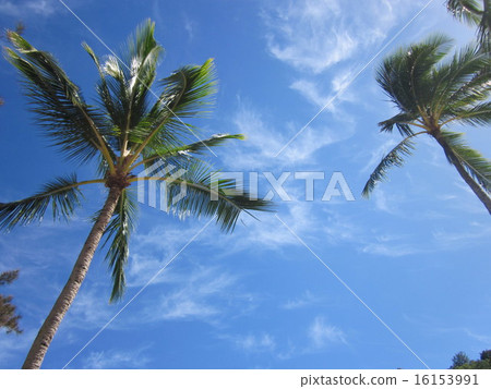 夏威夷的天空 夏威夷的天空 16153991
