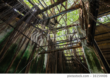 Anping Tree Shop in Tainan, Taiwan Anping Tree Shop in Tainan, Taiwan 16154406