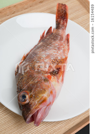 Bamboo shoots prepared Bamboo shoots prepared 16154489