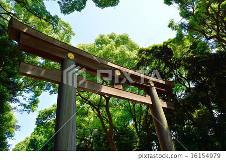 Meiji Jingu Meiji Jingu 16154979