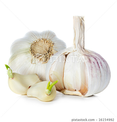 Garlic isolated on white background Garlic isolated on white background 16154992