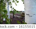 Birch of Furano Station 16155015