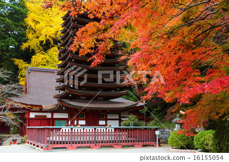 Takeshi Shrine Autumn leaves and ten-story pagoda Takeshi Shrine Autumn leaves and ten-story pagoda 16155054