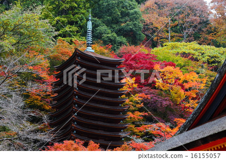 Daisyama Shrine Ten Three Level Tower and Autumn Leaves Daisyama Shrine Ten Three Level Tower and Autumn Leaves 16155057