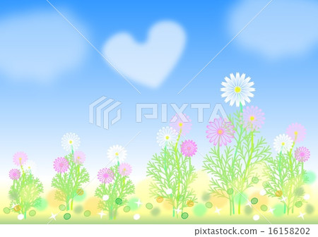 Cosmos field and blue sky Cosmos field and blue sky 16158202