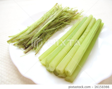 Prepare the wiping boil and peel the wipe 16158366